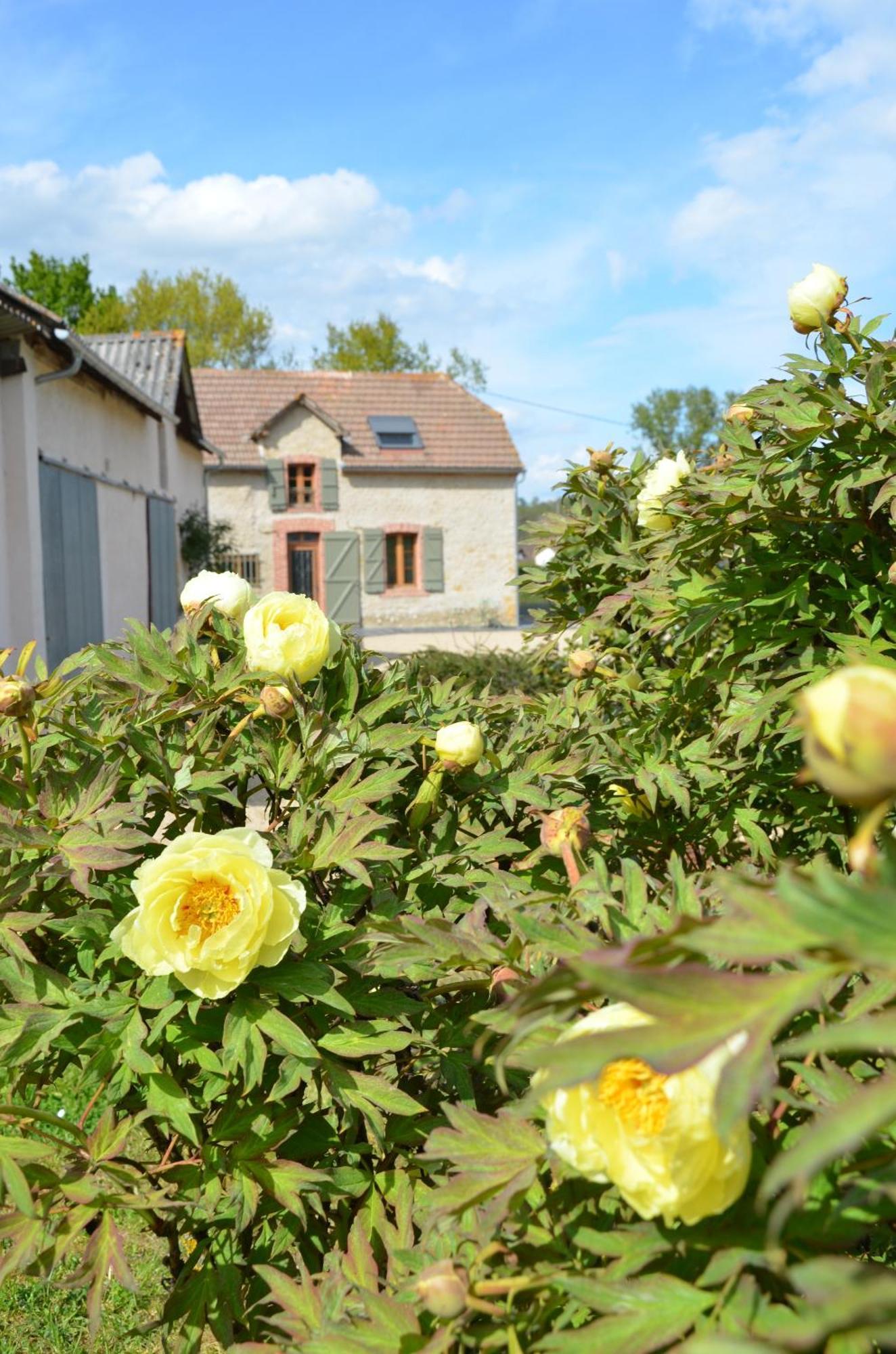 Ecogite Rural La Cle Des Champs Peyrelongue-Abos Exterior photo